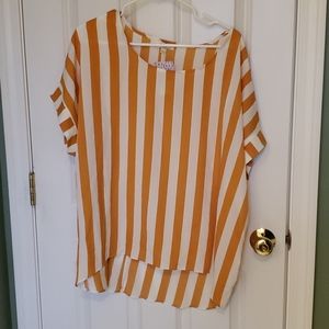 Umgee Striped Silky Tunic
